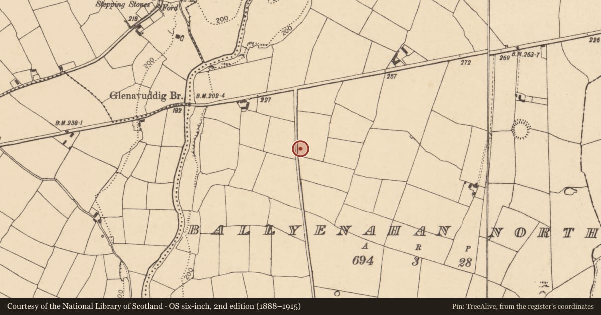 Ordnance Survey six-inch map, 2nd edition (1888–1915) covering the location of Ringfort - rath, Ballyenahan North, County Cork, with a pin at the register's coordinates