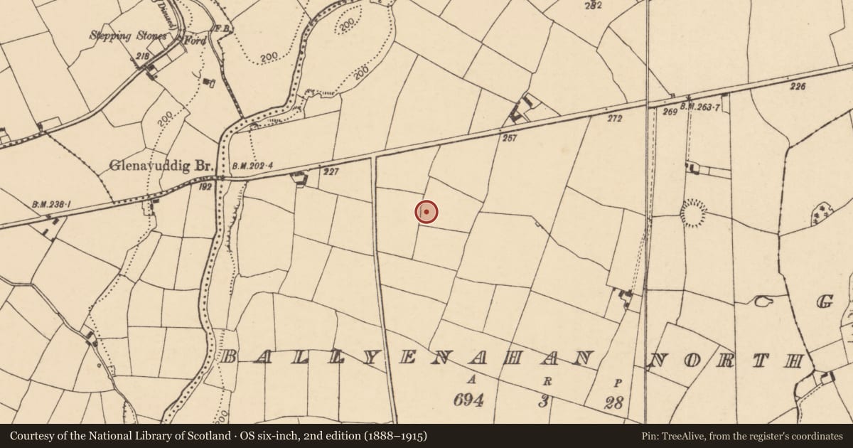 Ordnance Survey six-inch map, 2nd edition (1888–1915) covering the location of Ringfort - rath, Ballyenahan North, County Cork, with a pin at the register's coordinates