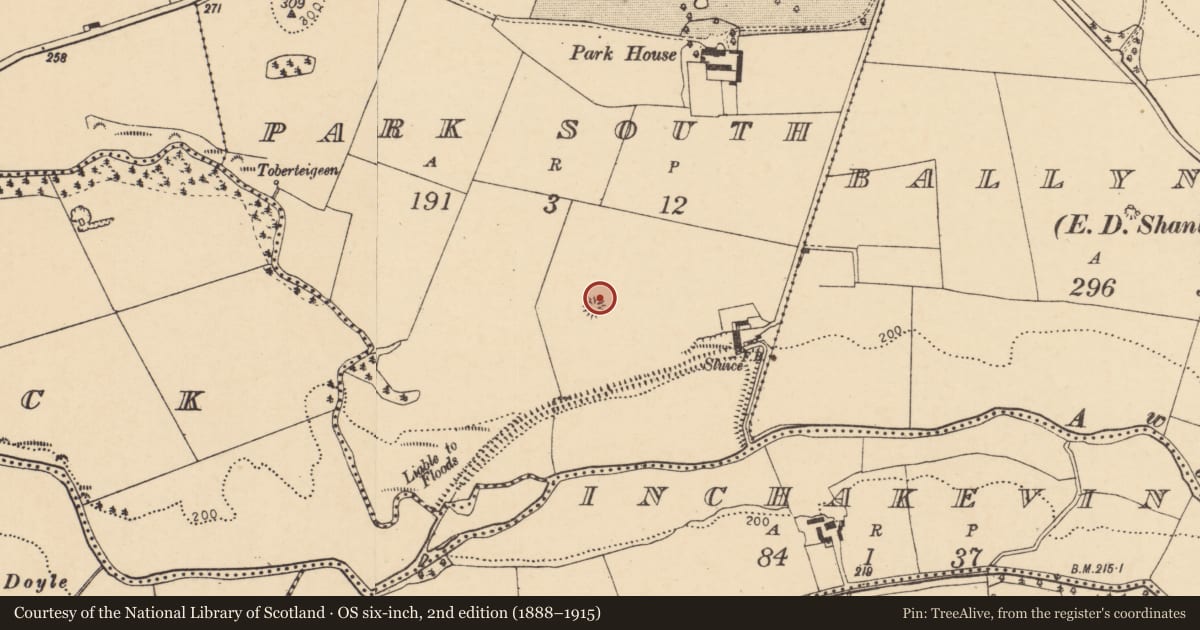 Ordnance Survey six-inch map, 2nd edition (1888–1915) covering the location of Ringfort - rath, Park South, County Cork, with a pin at the register's coordinates