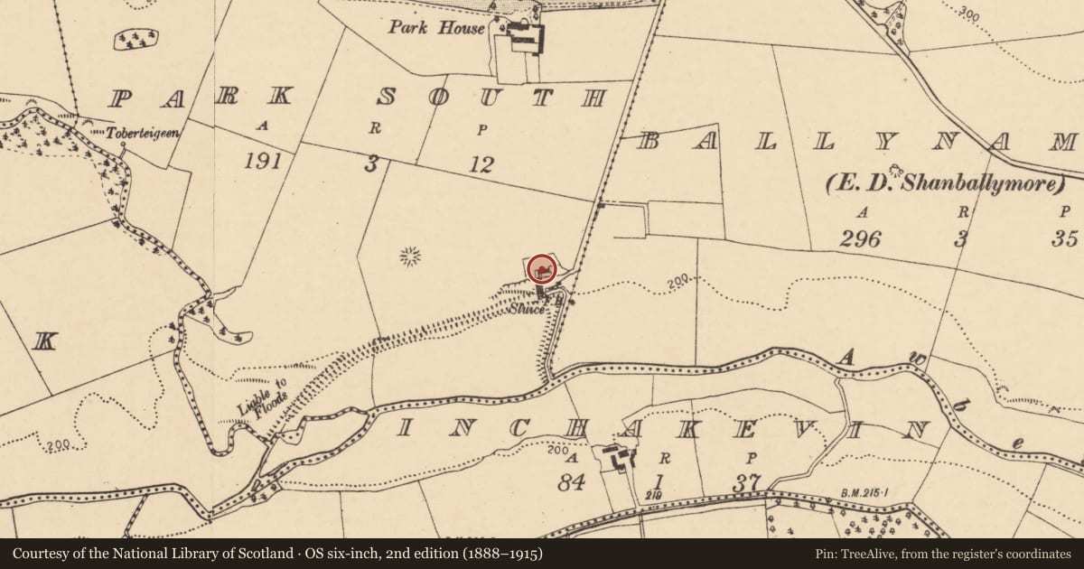 Ordnance Survey six-inch map, 2nd edition (1888–1915) covering the location of Mill - corn, Park South, County Cork, with a pin at the register's coordinates