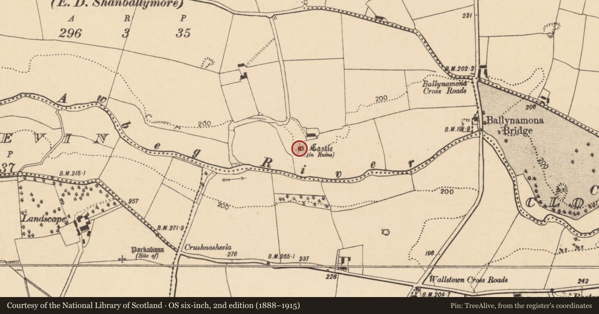 Ordnance Survey six-inch map, 2nd edition (1888–1915) covering the location of Castle - tower house, Ballynamona (Fermoy By., Templeroan Par.), County Cork, with a pin at the register's coordinates