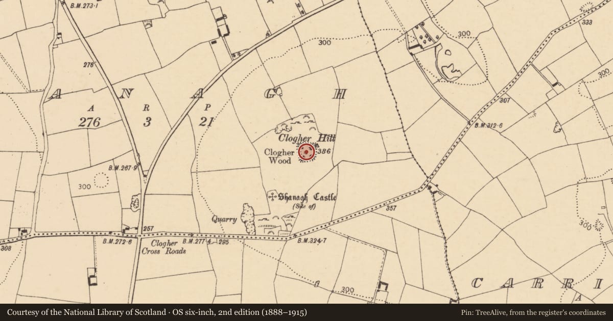 Ordnance Survey six-inch map, 2nd edition (1888–1915) covering the location of Enclosure, Shanagh, County Cork, with a pin at the register's coordinates