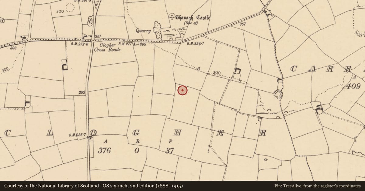 Ordnance Survey six-inch map, 2nd edition (1888–1915) covering the location of Ringfort - rath, Clogher, County Cork, with a pin at the register's coordinates