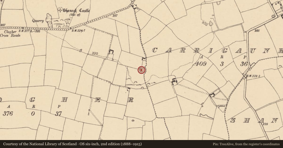 Ordnance Survey six-inch map, 2nd edition (1888–1915) covering the location of Ringfort - rath, Clogher, County Cork, with a pin at the register's coordinates