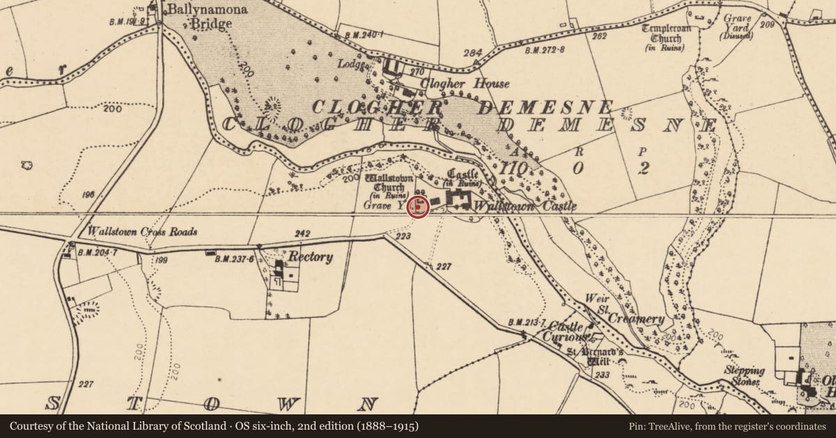 Ordnance Survey six-inch map, 2nd edition (1888–1915) covering the location of Graveyard, Wallstown, County Cork, with a pin at the register's coordinates