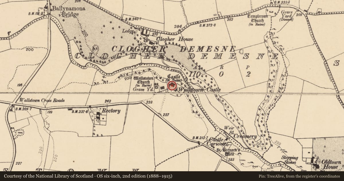 Ordnance Survey six-inch map, 2nd edition (1888–1915) covering the location of Castle - tower house, Wallstown, County Cork, with a pin at the register's coordinates
