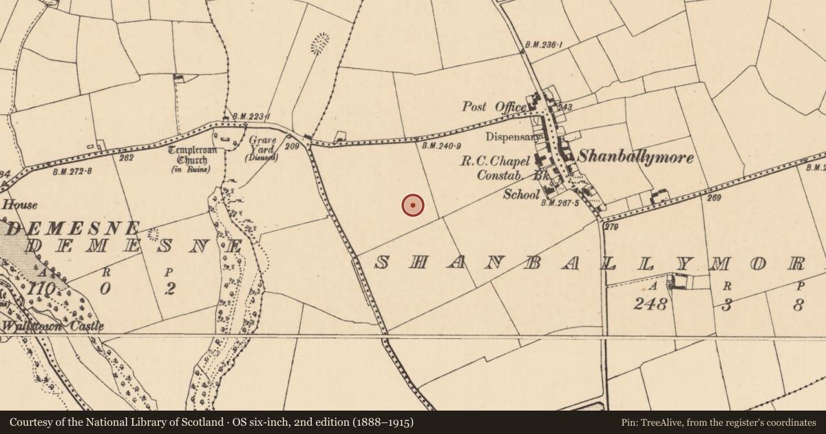 Ordnance Survey six-inch map, 2nd edition (1888–1915) covering the location of Ringfort - rath, Shanballymore Lower, County Cork, with a pin at the register's coordinates