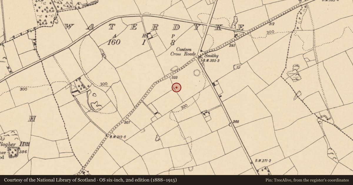 Ordnance Survey six-inch map, 2nd edition (1888–1915) covering the location of Ringfort - rath, Carrigaunroe, County Cork, with a pin at the register's coordinates