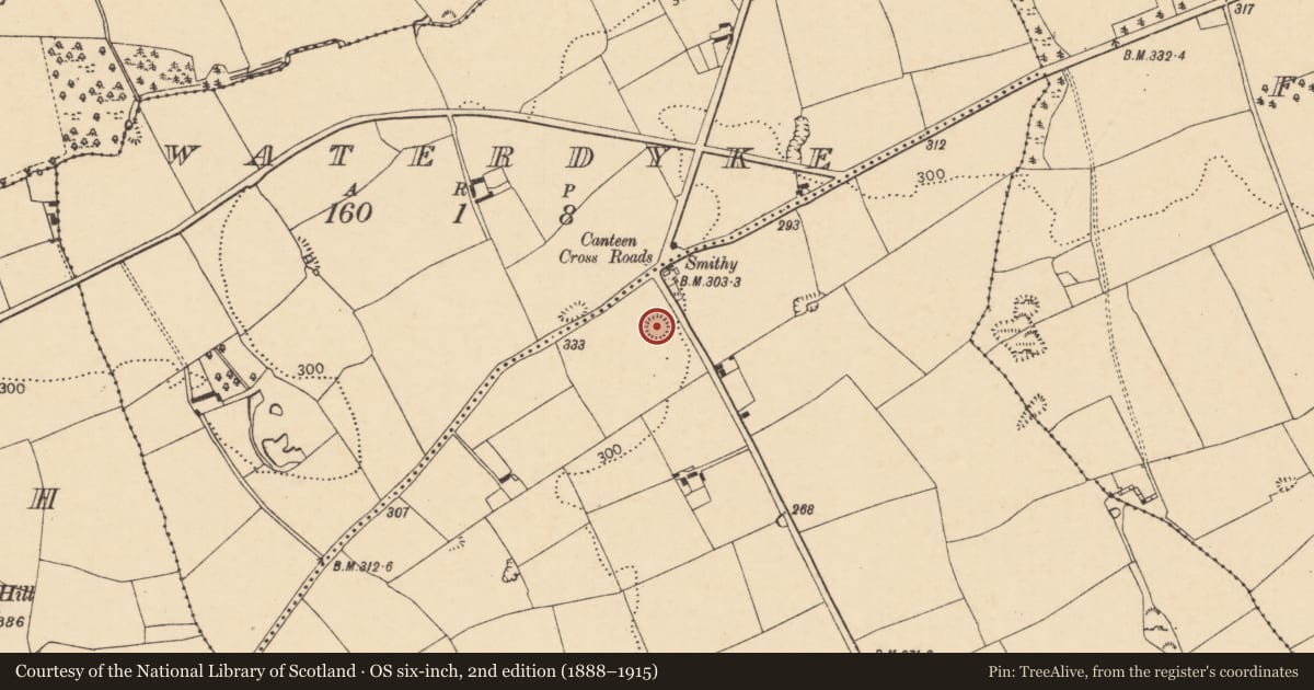 Ordnance Survey six-inch map, 2nd edition (1888–1915) covering the location of Ringfort - rath, Carrigaunroe, County Cork, with a pin at the register's coordinates