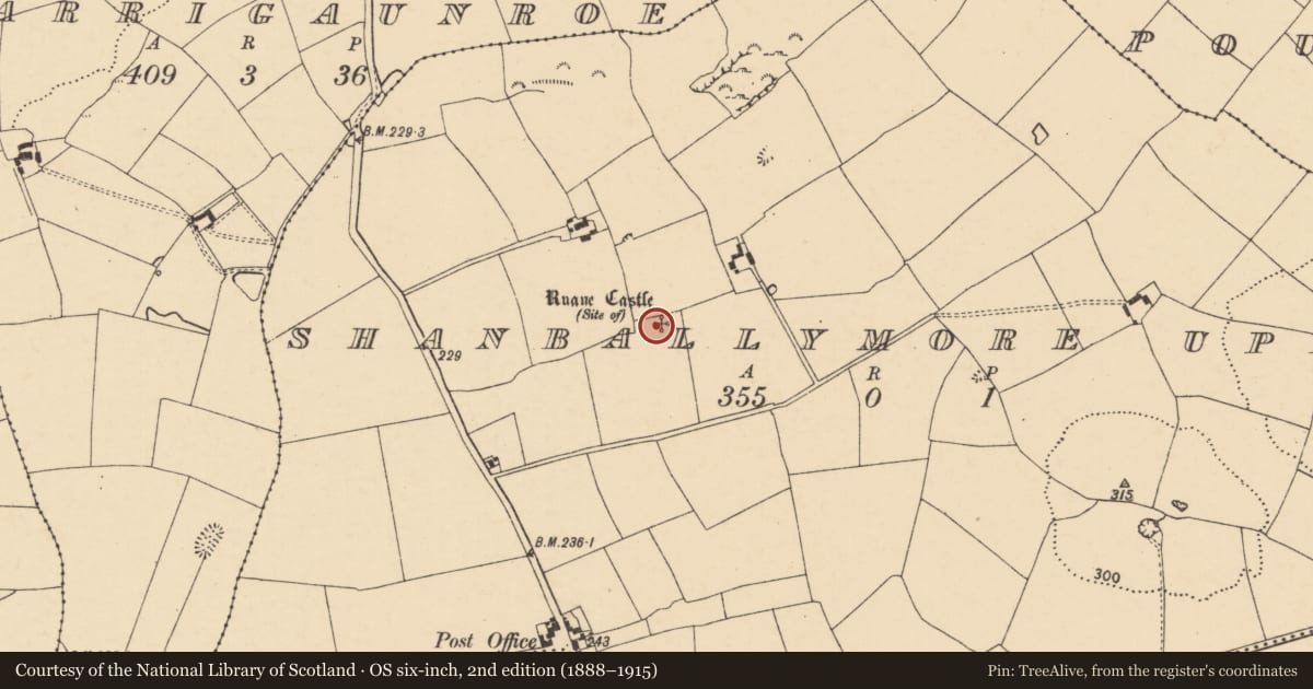 Ordnance Survey six-inch map, 2nd edition (1888–1915) covering the location of Castle - unclassified, Shanballymore Upper, County Cork, with a pin at the register's coordinates