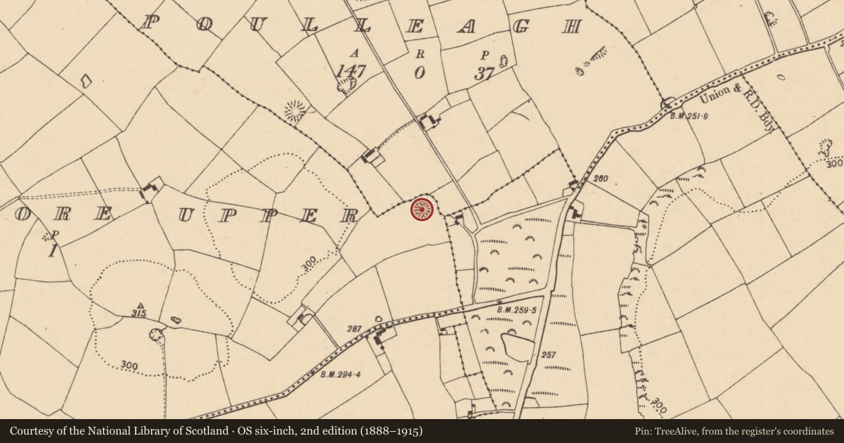 Ordnance Survey six-inch map, 2nd edition (1888–1915) covering the location of Ringfort - rath, Shanballymore Upper, County Cork, with a pin at the register's coordinates