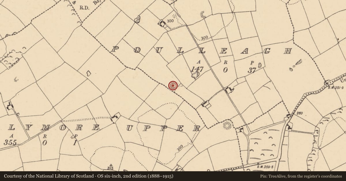 Ordnance Survey six-inch map, 2nd edition (1888–1915) covering the location of Ringfort - rath, Poulleagh, County Cork, with a pin at the register's coordinates