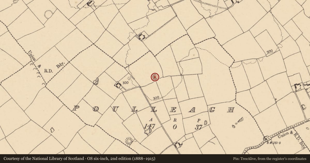 Ordnance Survey six-inch map, 2nd edition (1888–1915) covering the location of Ringfort - rath, Poulleagh, County Cork, with a pin at the register's coordinates
