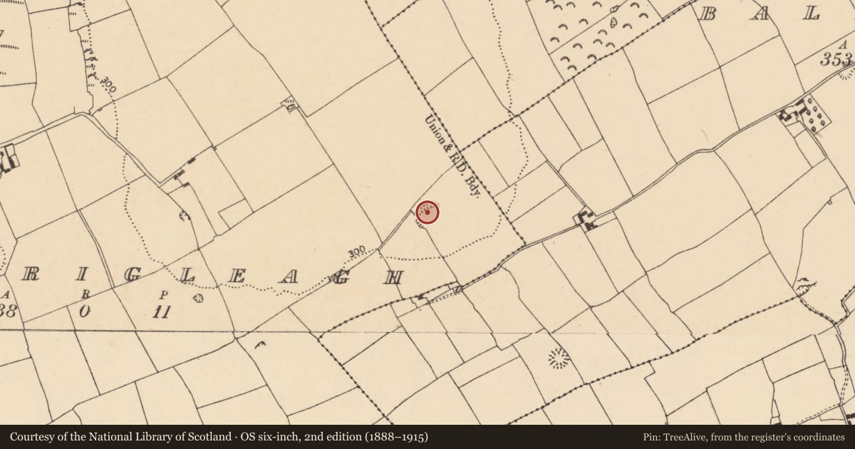 Ordnance Survey six-inch map, 2nd edition (1888–1915) covering the location of Ringfort - rath, Carrigleagh (Fermoy By., Templeroan Par.), County Cork, with a pin at the register's coordinates