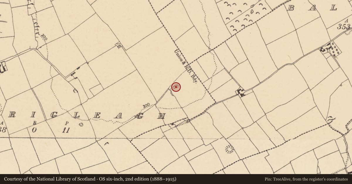 Ordnance Survey six-inch map, 2nd edition (1888–1915) covering the location of Souterrain, Carrigleagh (Fermoy By., Templeroan Par.), County Cork, with a pin at the register's coordinates