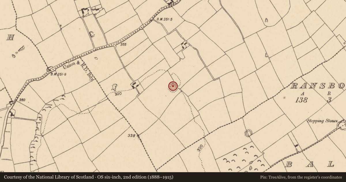 Ordnance Survey six-inch map, 2nd edition (1888–1915) covering the location of Ringfort - rath, Meadstown, County Cork, with a pin at the register's coordinates