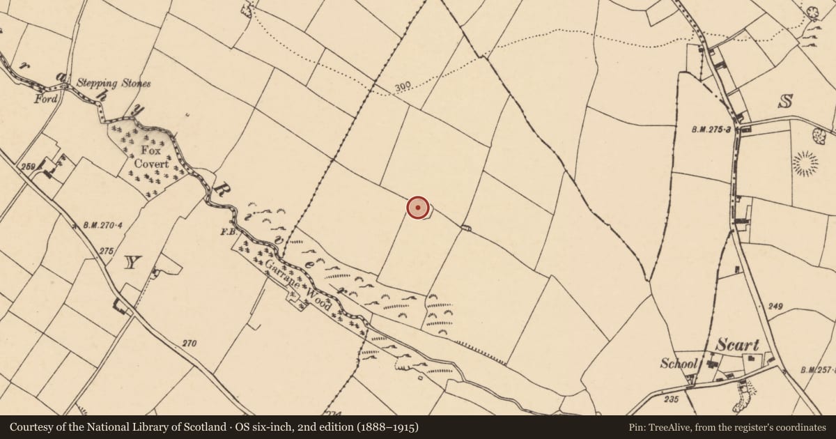 Ordnance Survey six-inch map, 2nd edition (1888–1915) covering the location of Enclosure, Meadstown, County Cork, with a pin at the register's coordinates