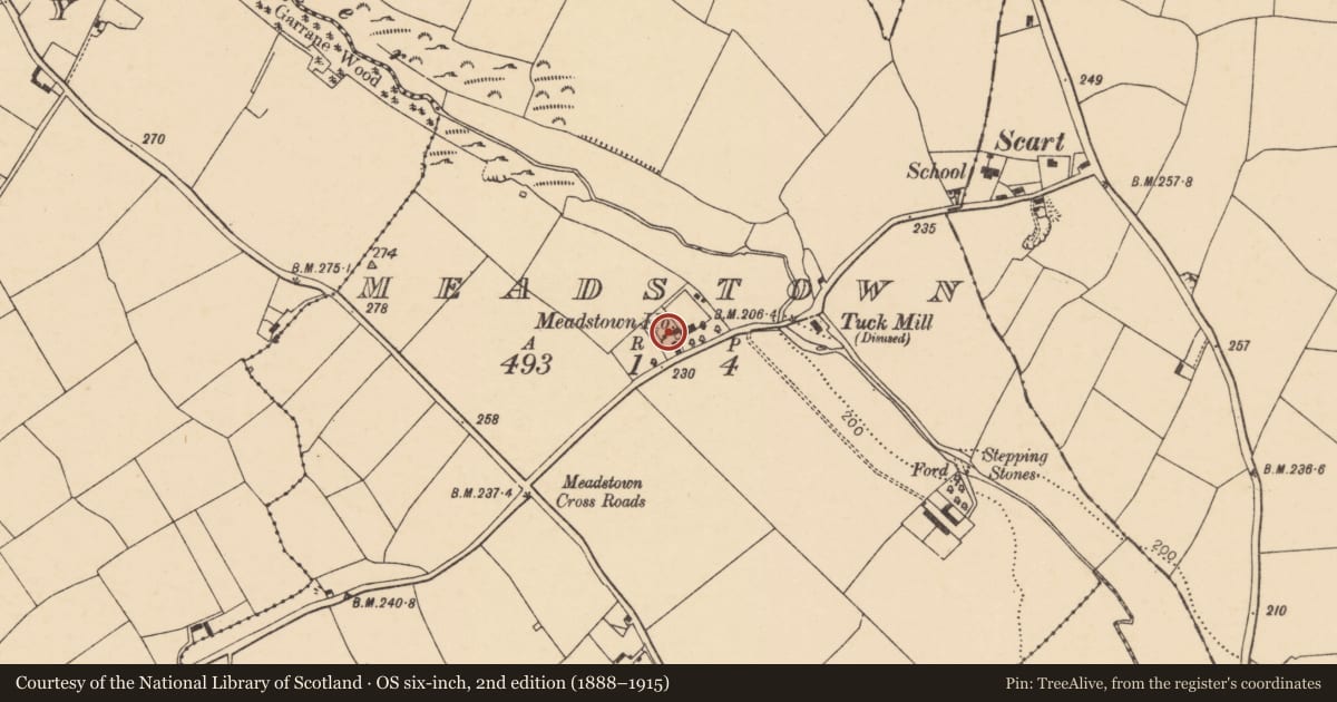 Ordnance Survey six-inch map, 2nd edition (1888–1915) covering the location of House - vernacular house, Meadstown, County Cork, with a pin at the register's coordinates