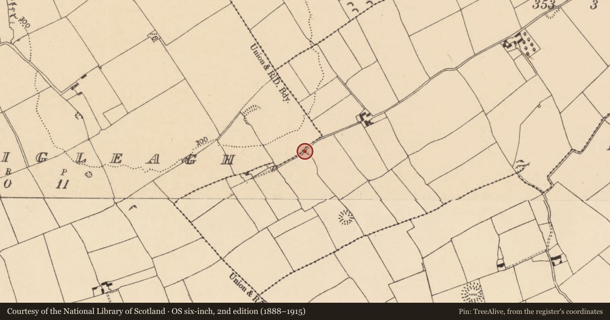 Ordnance Survey six-inch map, 2nd edition (1888–1915) covering the location of Enclosure, Ballyvoddy, County Cork, with a pin at the register's coordinates