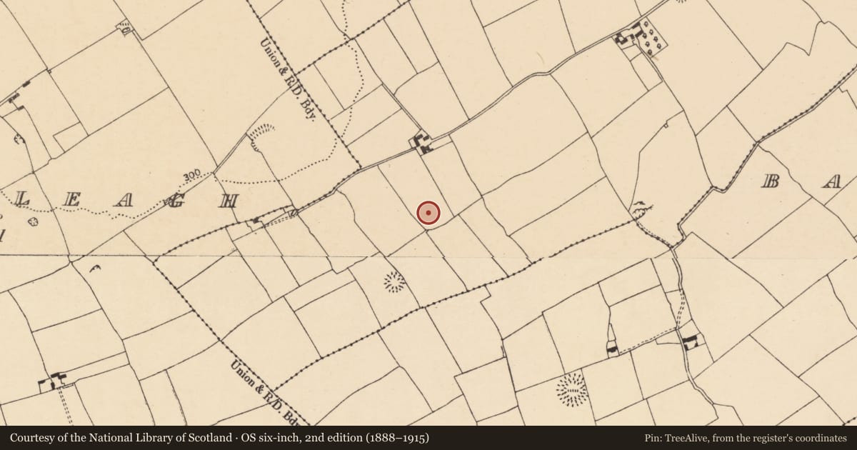 Ordnance Survey six-inch map, 2nd edition (1888–1915) covering the location of Ringfort - rath, Ballyvoddy, County Cork, with a pin at the register's coordinates