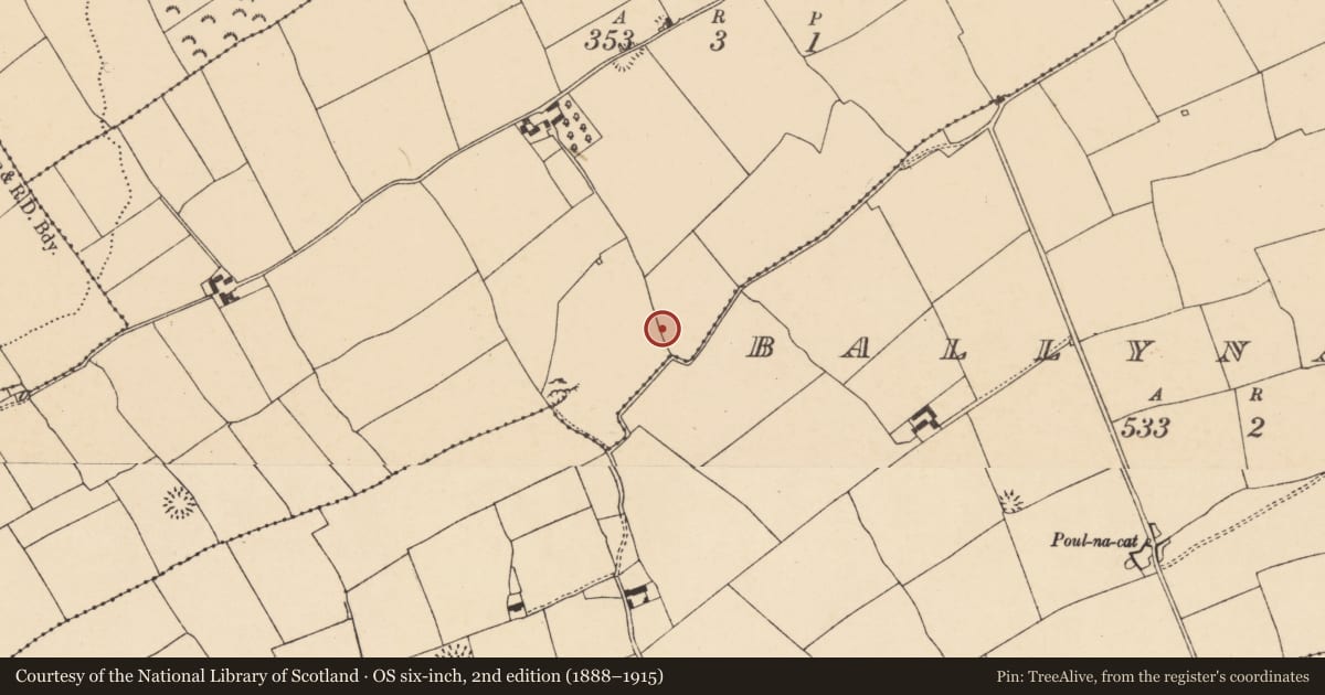 Ordnance Survey six-inch map, 2nd edition (1888–1915) covering the location of Mound, Ballyvoddy, County Cork, with a pin at the register's coordinates