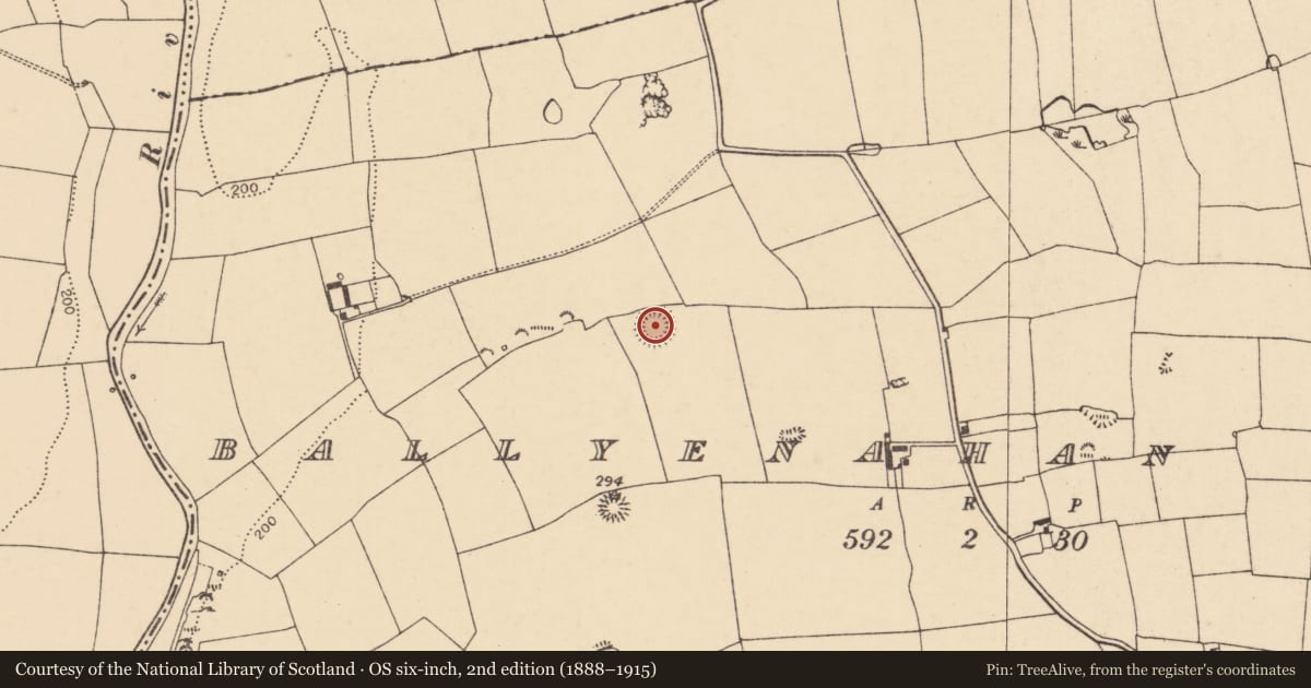 Ordnance Survey six-inch map, 2nd edition (1888–1915) covering the location of Ringfort - rath, Ballyenahan South, County Cork, with a pin at the register's coordinates