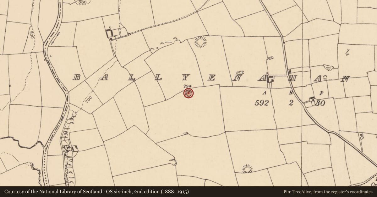 Ordnance Survey six-inch map, 2nd edition (1888–1915) covering the location of Ringfort - rath, Ballyenahan South, County Cork, with a pin at the register's coordinates