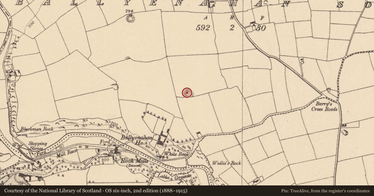 Ordnance Survey six-inch map, 2nd edition (1888–1915) covering the location of Ringfort - rath, Ballyenahan South, County Cork, with a pin at the register's coordinates