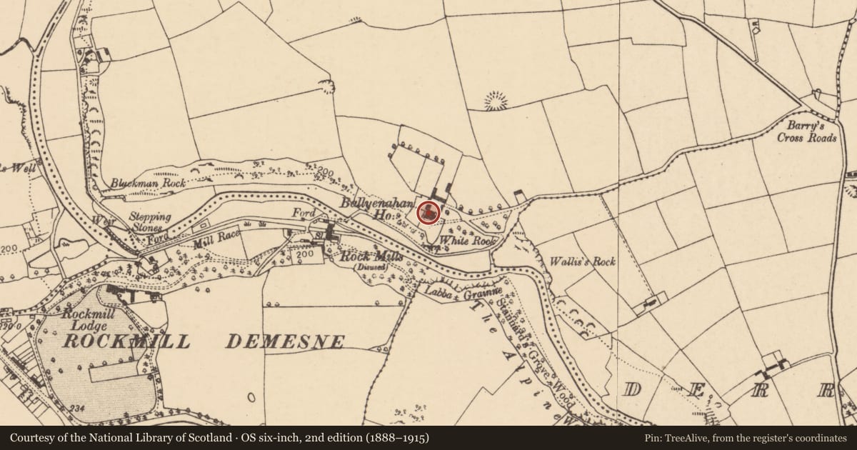 Ordnance Survey six-inch map, 2nd edition (1888–1915) covering the location of Country house, Ballyenahan South, County Cork, with a pin at the register's coordinates