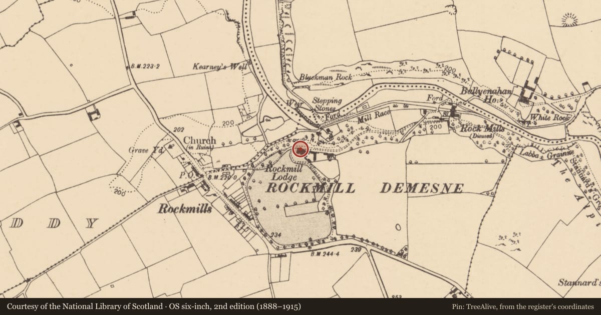 Ordnance Survey six-inch map, 2nd edition (1888–1915) covering the location of Country house, Ballynahalisk, County Cork, with a pin at the register's coordinates