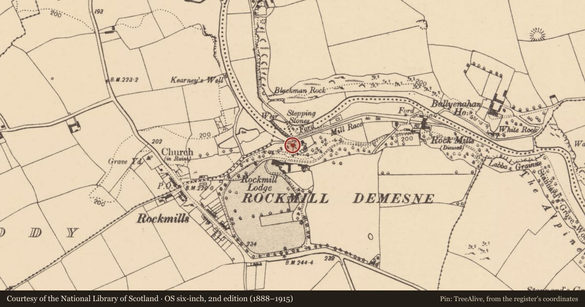 Ordnance Survey six-inch map, 2nd edition (1888–1915) covering the location of Weir - regulating, Ballynahalisk, County Cork, with a pin at the register's coordinates