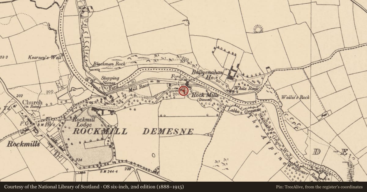 Ordnance Survey six-inch map, 2nd edition (1888–1915) covering the location of Mill - corn, Ballynahalisk, County Cork, with a pin at the register's coordinates