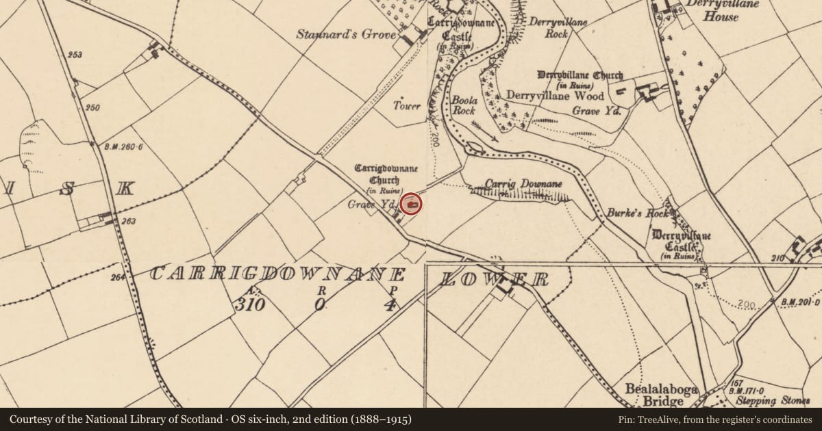 Ordnance Survey six-inch map, 2nd edition (1888–1915) covering the location of Graveyard, Carrigdownane Lower, County Cork, with a pin at the register's coordinates
