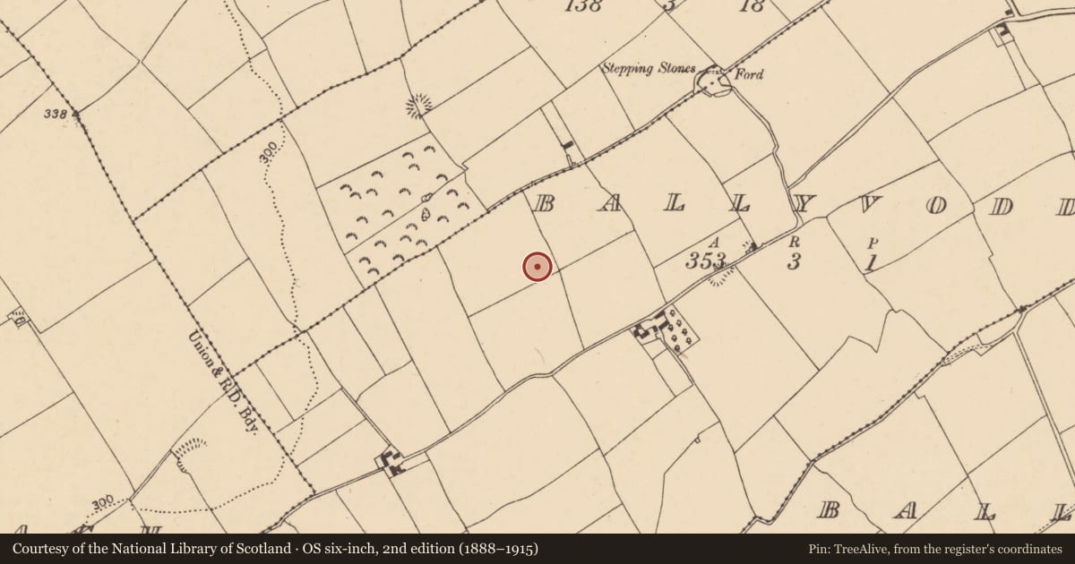 Ordnance Survey six-inch map, 2nd edition (1888–1915) covering the location of Ringfort - rath, Ballyvoddy, County Cork, with a pin at the register's coordinates
