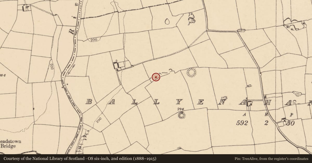 Ordnance Survey six-inch map, 2nd edition (1888–1915) covering the location of Kiln - lime, Ballyenahan South, County Cork, with a pin at the register's coordinates
