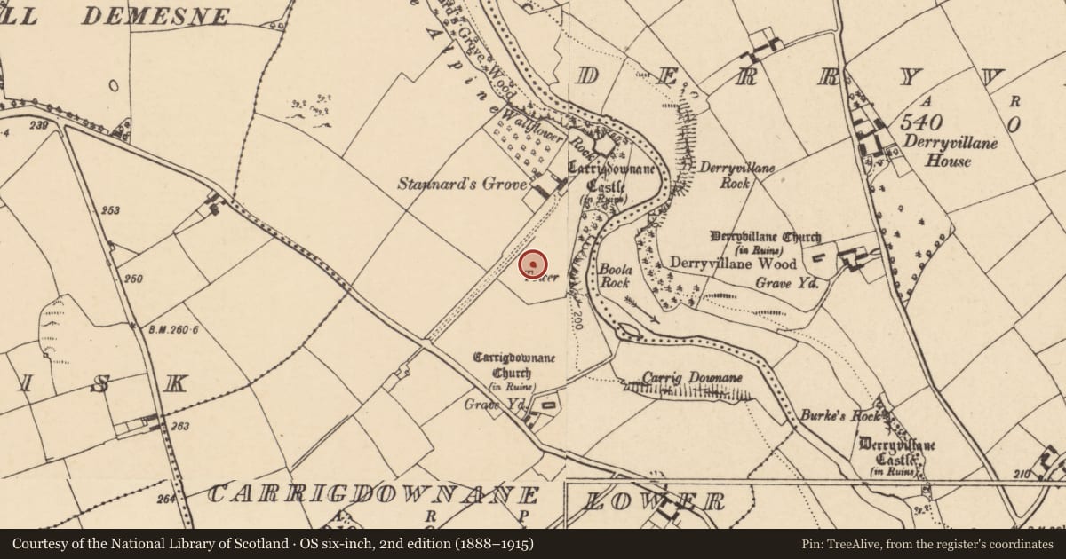 Ordnance Survey six-inch map, 2nd edition (1888–1915) covering the location of Designed landscape - belvedere, Carrigdownane Lower, County Cork, with a pin at the register's coordinates