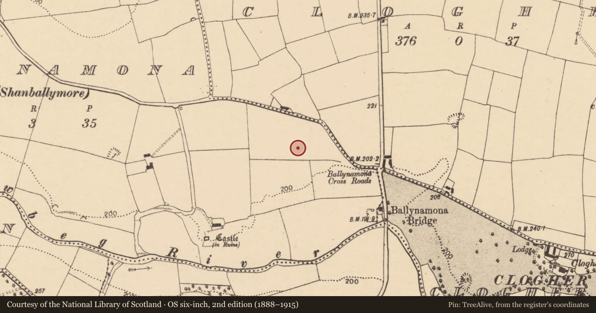 Ordnance Survey six-inch map, 2nd edition (1888–1915) covering the location of Prehistoric site - lithic scatter, Ballynamona (Fermoy By., Templeroan Par.), County Cork, with a pin at the register's coordinates