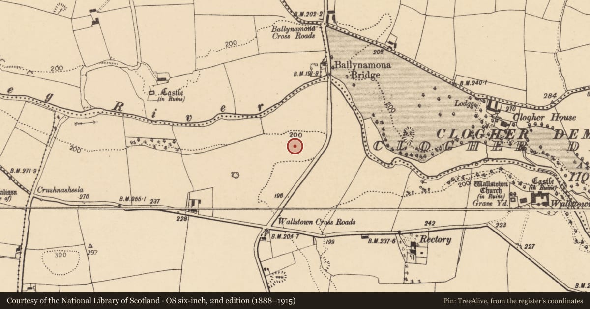 Ordnance Survey six-inch map, 2nd edition (1888–1915) covering the location of Prehistoric site - lithic scatter, Wallstown, County Cork, with a pin at the register's coordinates