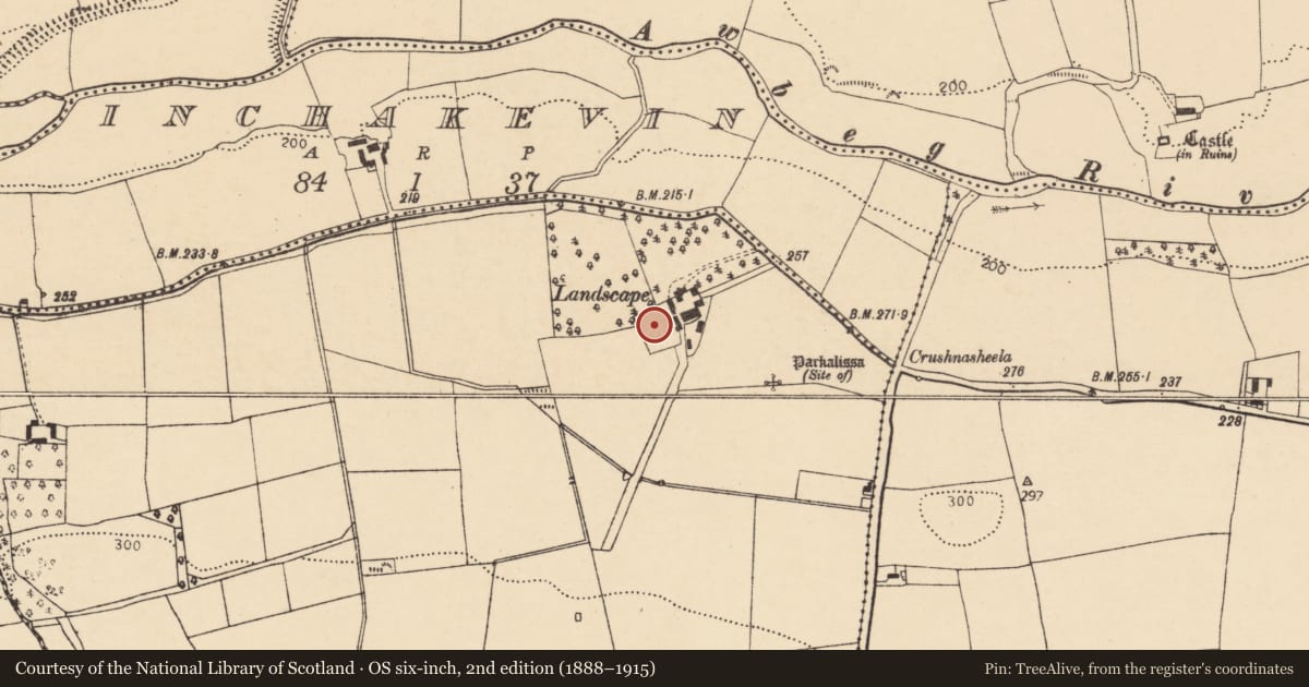 Ordnance Survey six-inch map, 2nd edition (1888–1915) covering the location of Designed landscape feature, Curraghanaltig, County Cork, with a pin at the register's coordinates