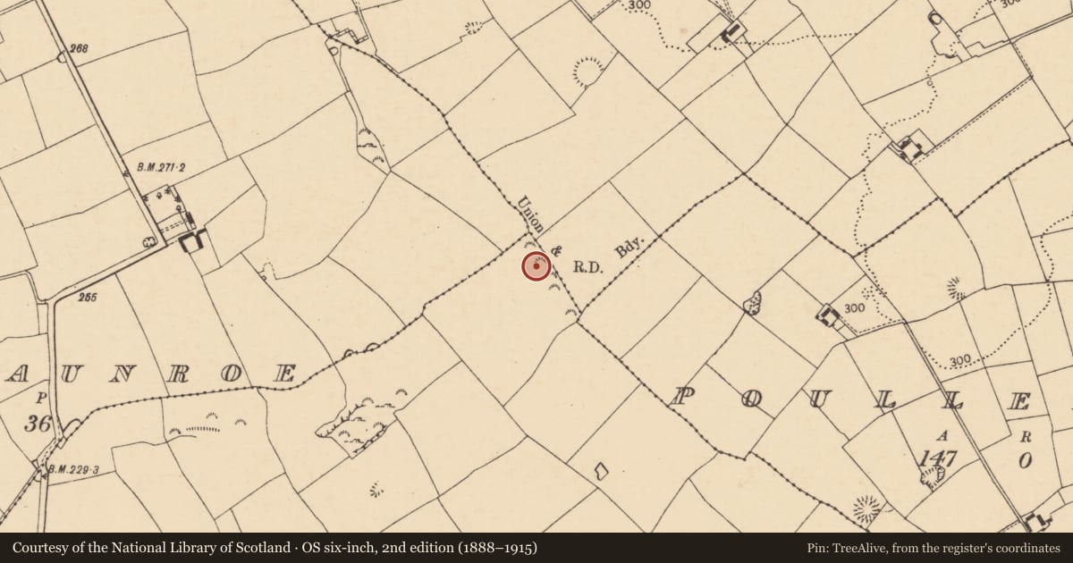 Ordnance Survey six-inch map, 2nd edition (1888–1915) covering the location of Fulacht fia, Shanballymore Upper, County Cork, with a pin at the register's coordinates