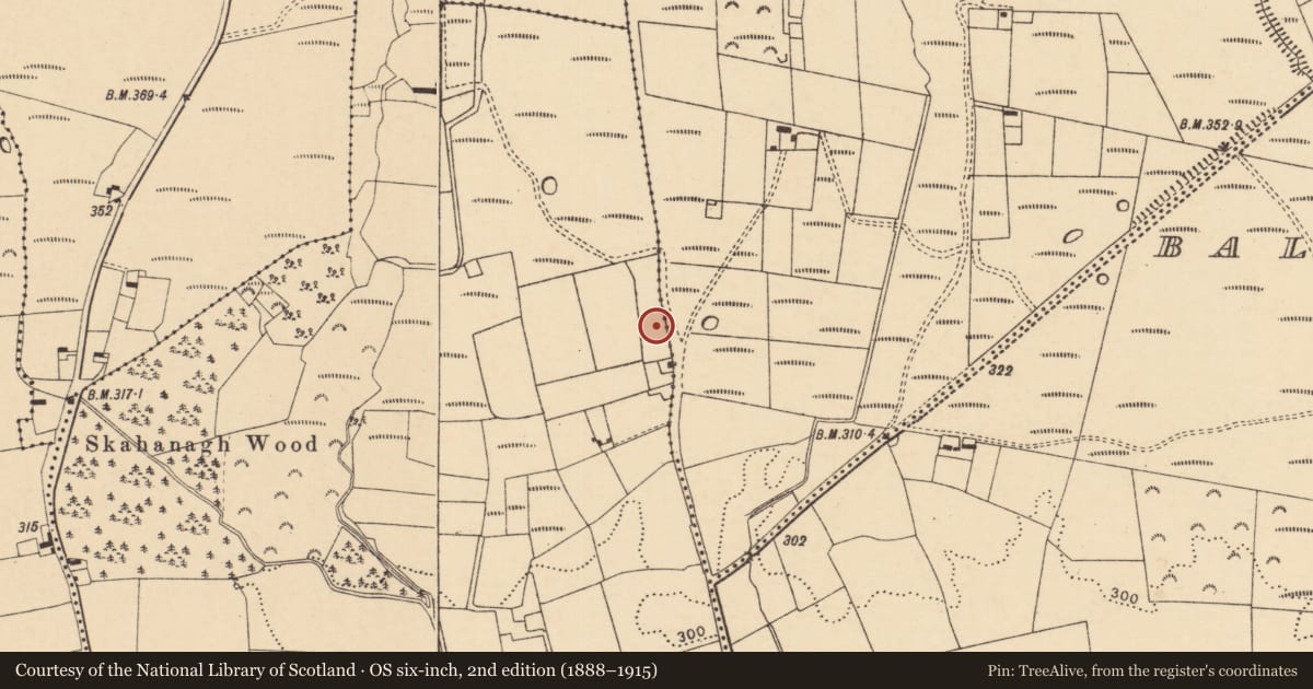 Ordnance Survey six-inch map, 2nd edition (1888–1915) covering the location of Fulacht fia, Skahanagh More, County Cork, with a pin at the register's coordinates