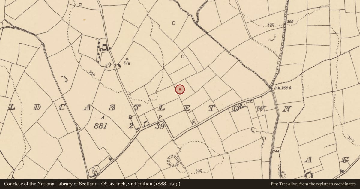 Ordnance Survey six-inch map, 2nd edition (1888–1915) covering the location of Fulacht fia, Oldcastletown, County Cork, with a pin at the register's coordinates