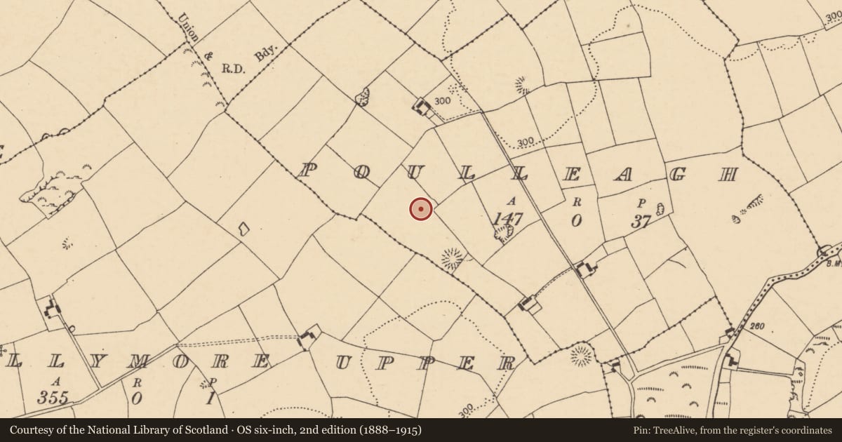 Ordnance Survey six-inch map, 2nd edition (1888–1915) covering the location of Fulacht fia, Poulleagh, County Cork, with a pin at the register's coordinates