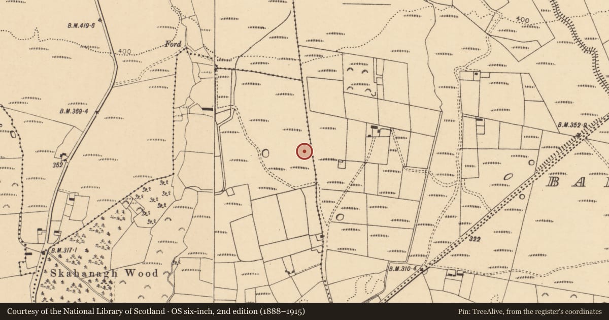 Ordnance Survey six-inch map, 2nd edition (1888–1915) covering the location of Fulacht fia, Skahanagh More, County Cork, with a pin at the register's coordinates