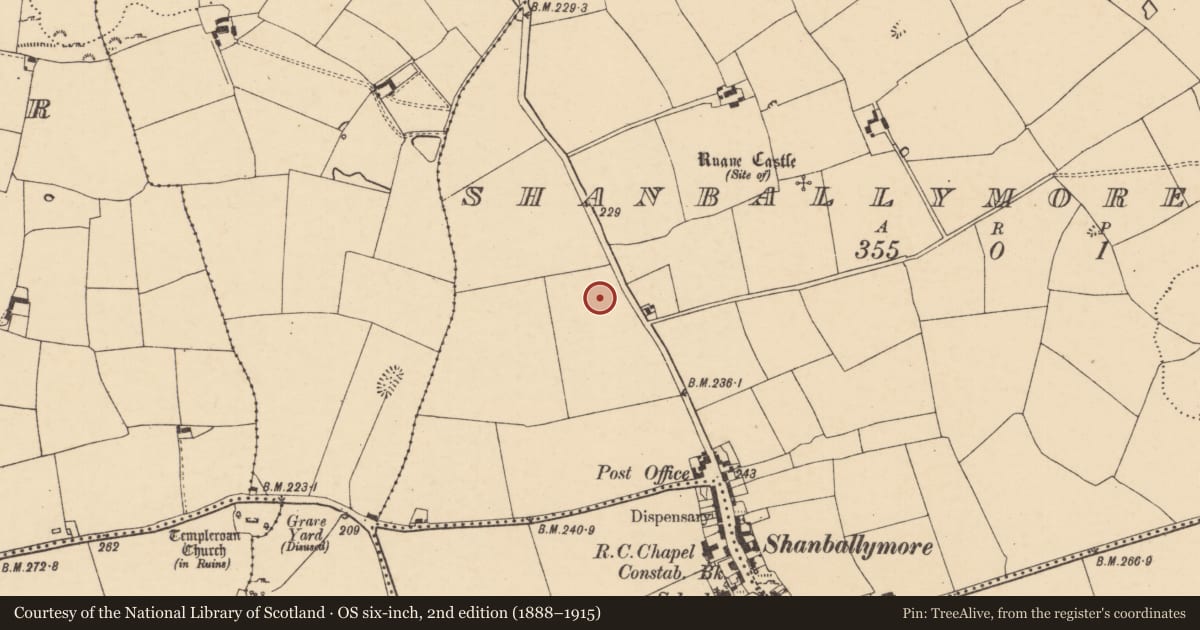 Ordnance Survey six-inch map, 2nd edition (1888–1915) covering the location of Cist, Shanballymore Upper, County Cork, with a pin at the register's coordinates