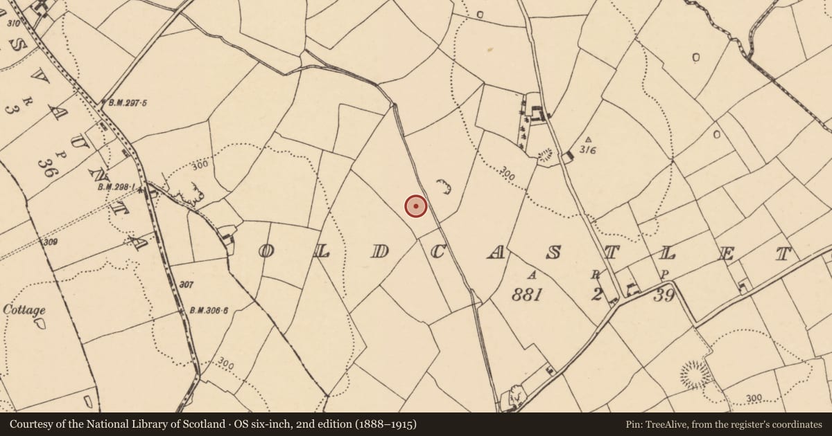 Ordnance Survey six-inch map, 2nd edition (1888–1915) covering the location of Fulacht fia, Oldcastletown, County Cork, with a pin at the register's coordinates