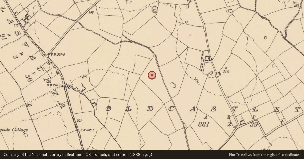Ordnance Survey six-inch map, 2nd edition (1888–1915) covering the location of Fulacht fia, Oldcastletown, County Cork, with a pin at the register's coordinates