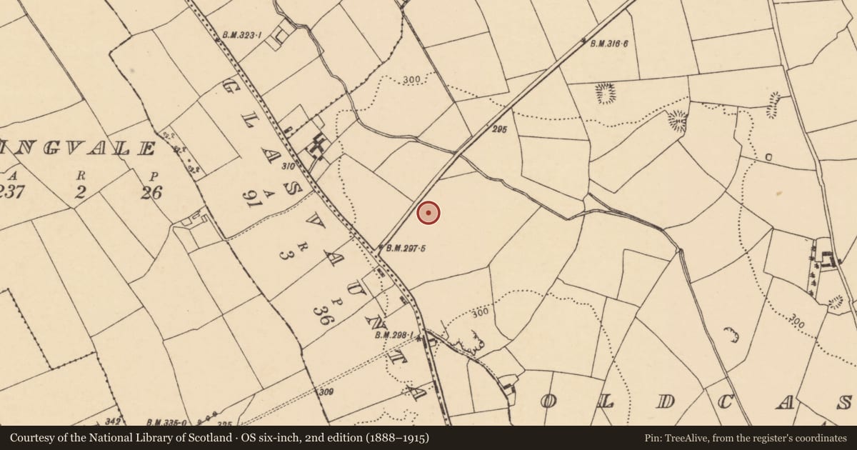 Ordnance Survey six-inch map, 2nd edition (1888–1915) covering the location of Fulacht fia, Oldcastletown, County Cork, with a pin at the register's coordinates