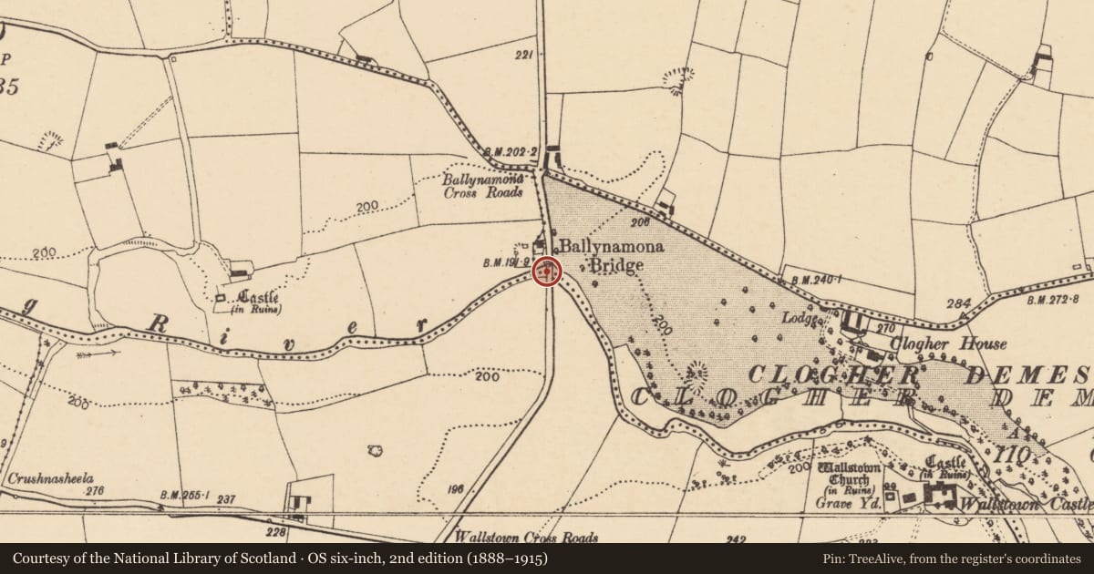 Ordnance Survey six-inch map, 2nd edition (1888–1915) covering the location of Bridge, County Cork, with a pin at the register's coordinates