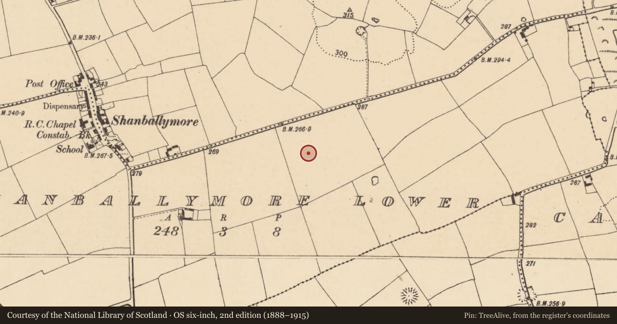 Ordnance Survey six-inch map, 2nd edition (1888–1915) covering the location of Enclosure, Shanballymore Lower, County Cork, with a pin at the register's coordinates